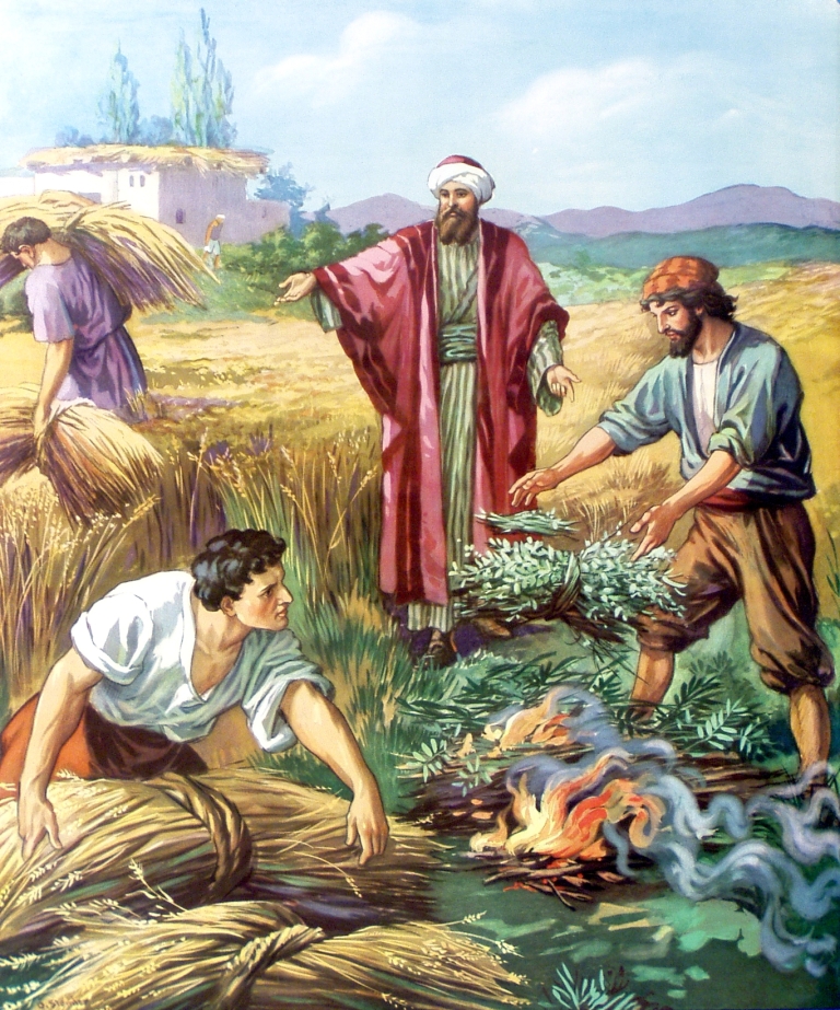 Притча о пшенице и плевелах